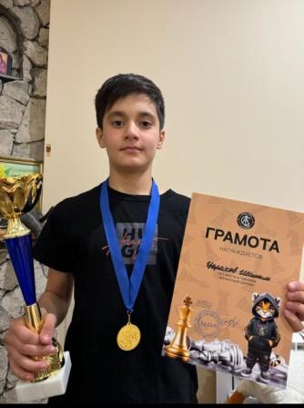 Шахматная   академия "Ладья".